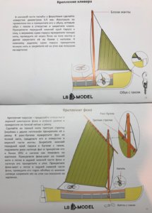 IMG_0805.JPEG